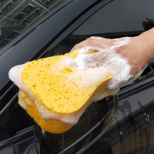 Water-Absorbent High-Density Sponge - Premium Cleaning Supplies | Prime Care