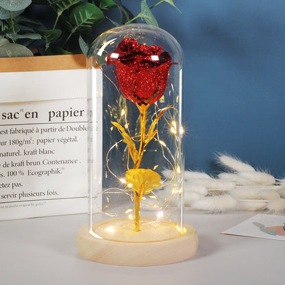Valentine's Day Eternal Rose LED Light Gift - Glass Dome Rose for Girlfriend | Prime Care