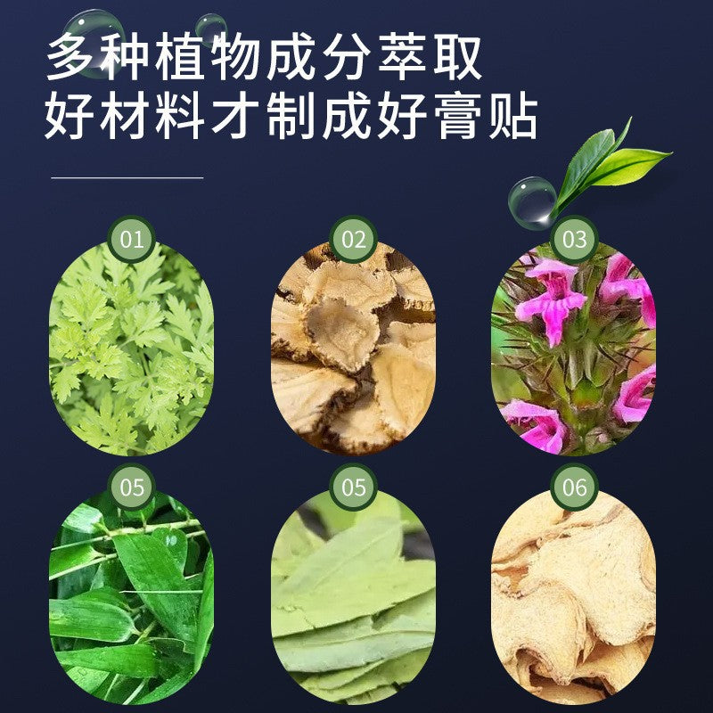Gynostemma Pentaphyllum Hydrogel Patch Herbal Extract Patch Mugwort Warm Moxibustion Patch Mugwort Moxibustion Patch Wholesale