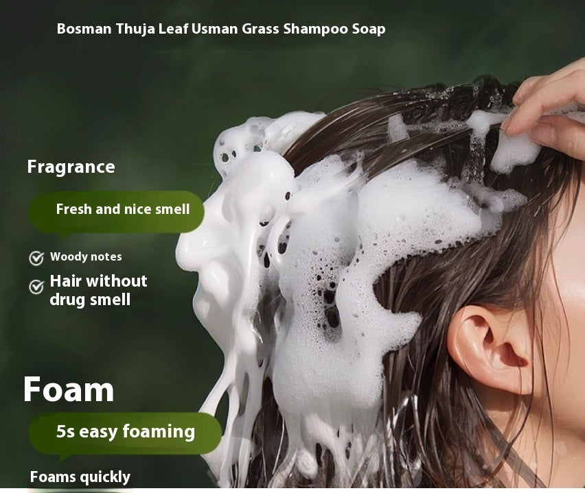 Oil Control And Dandruff Removal Soap - Chinese Arborvitae Twig Shampoo | Prime Care