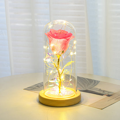 Valentine's Day Eternal Rose LED Light Gift - Glass Dome Rose for Girlfriend | Prime Care